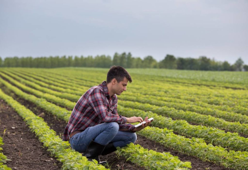 Comment Choisir Sa Station M t o Professionnelle Pour Les Pratiques
